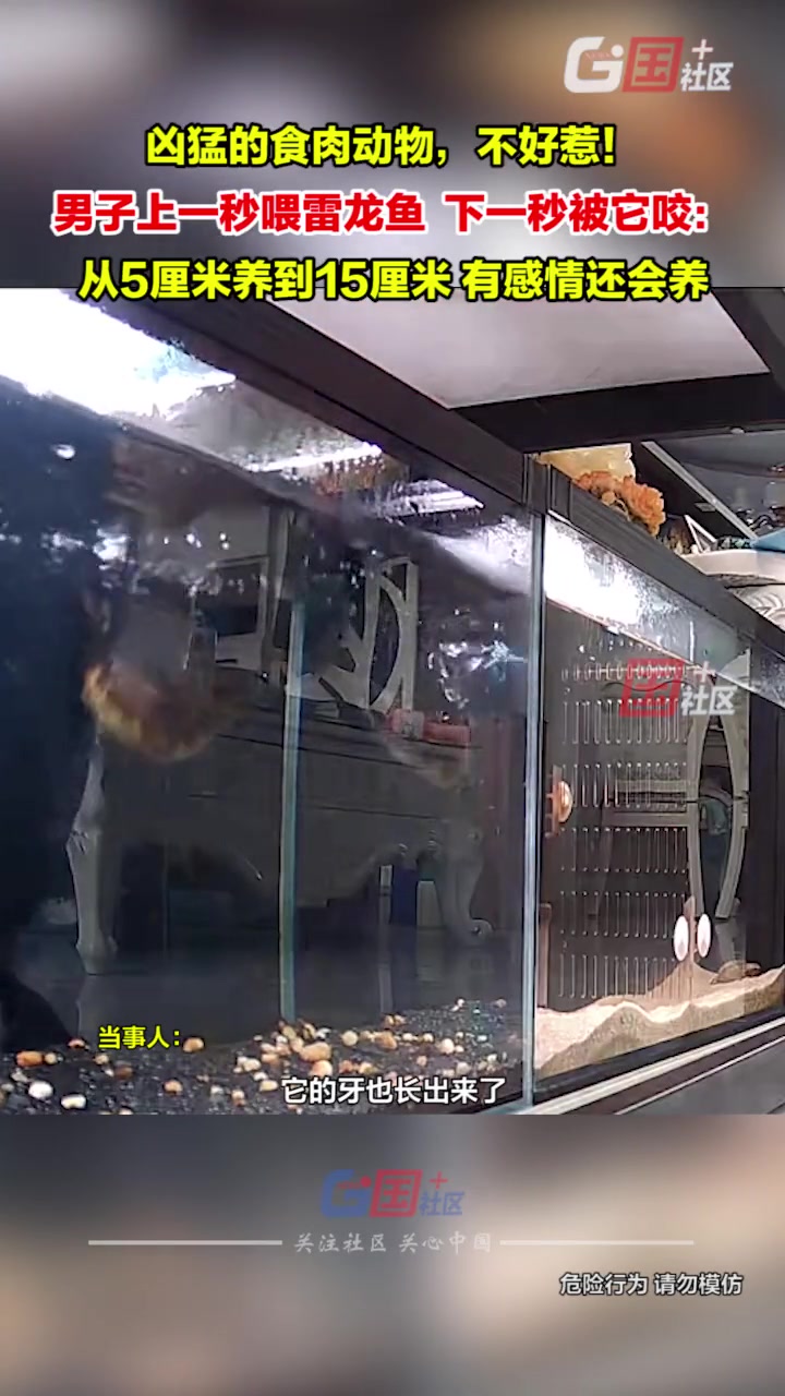 不懂就问被鱼咬了需要打狂犬疫苗吗