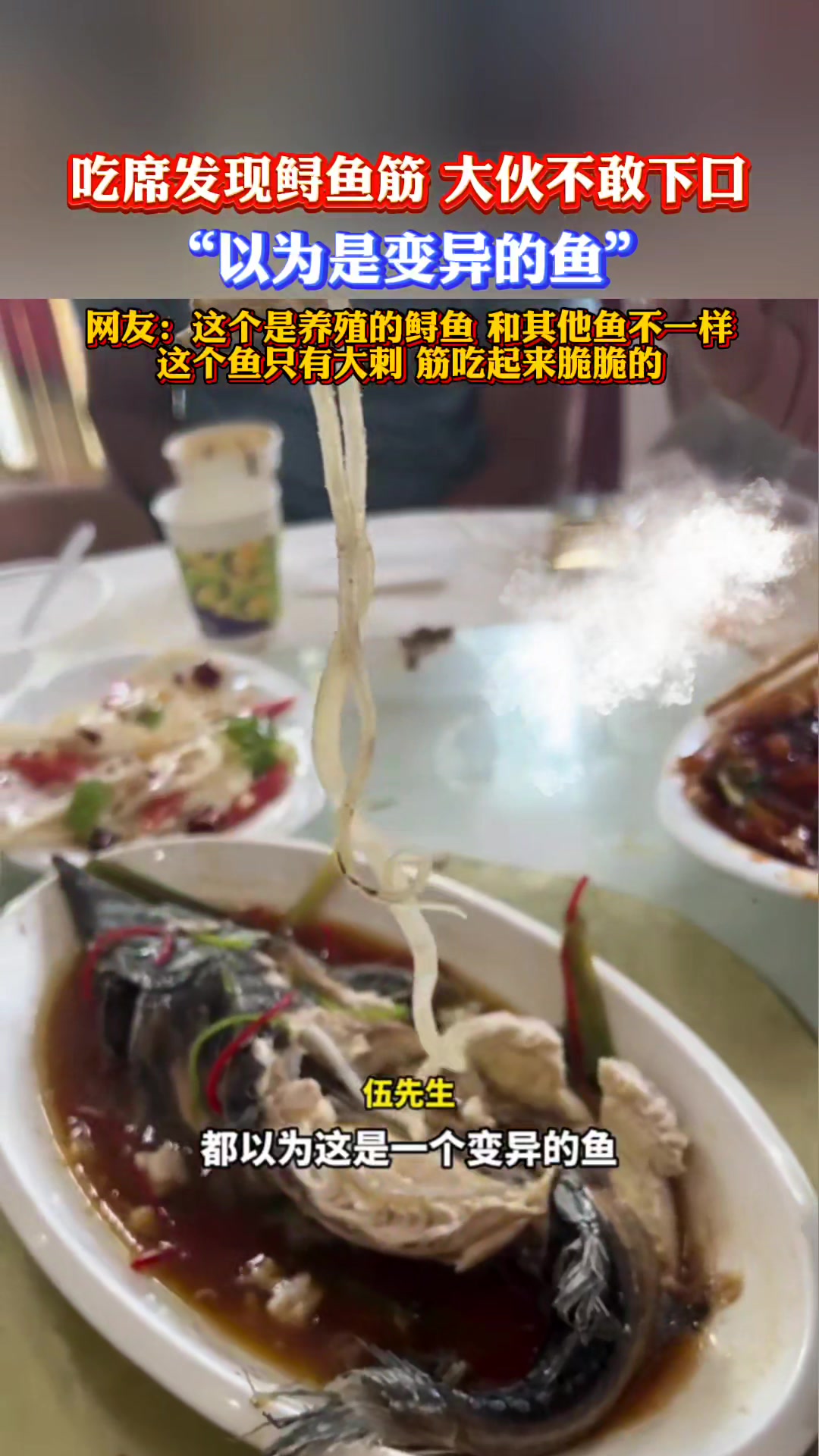 吃席发现鲟鱼筋,大伙都不敢吃