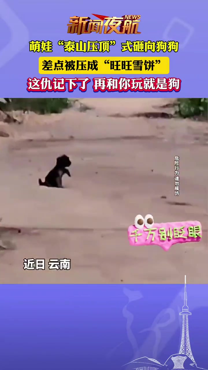 萌娃“泰山压顶”式砸向狗狗差点被压成“旺旺雪饼”