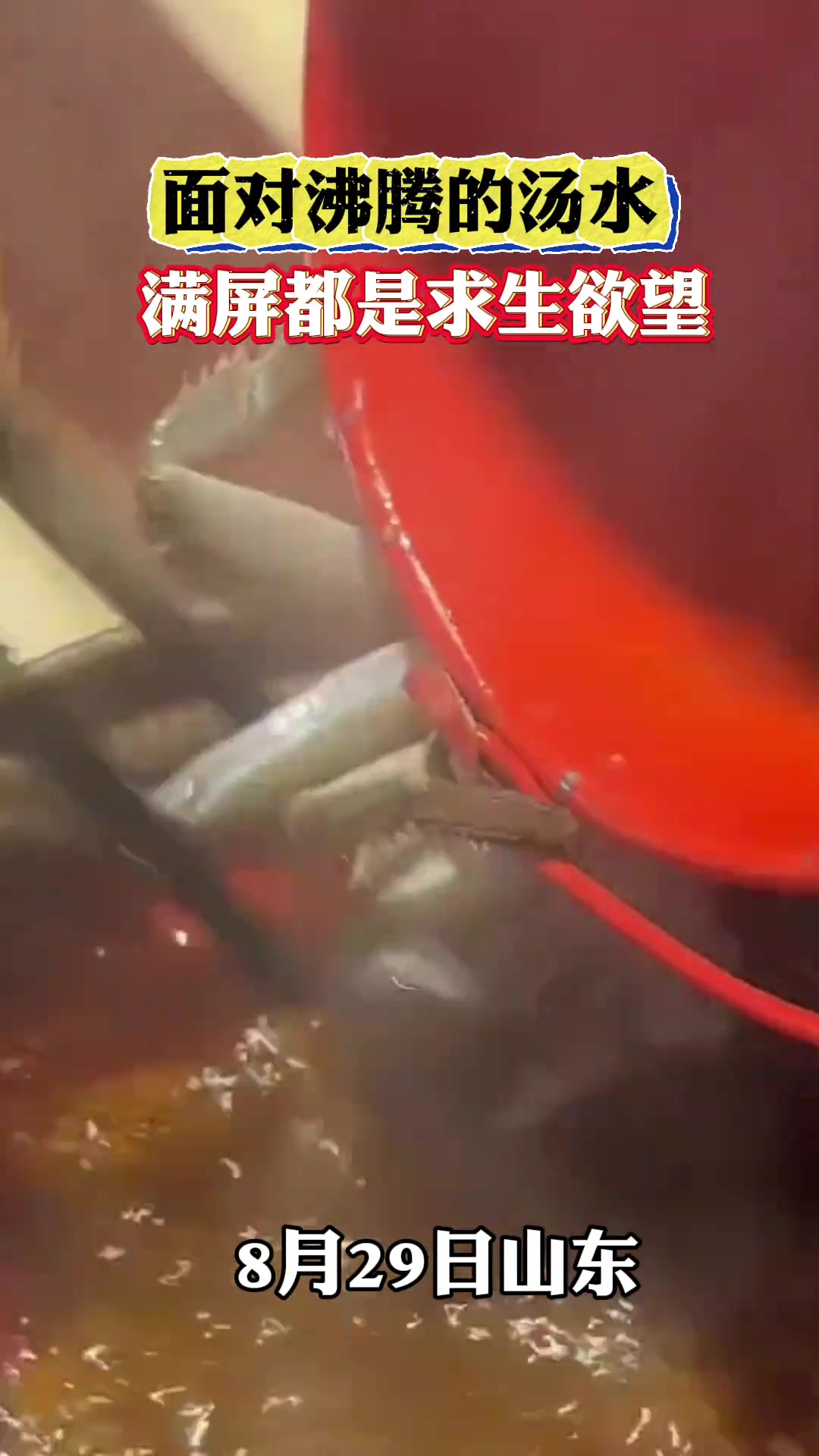 面对沸腾的汤水,满屏都是求生欲望!