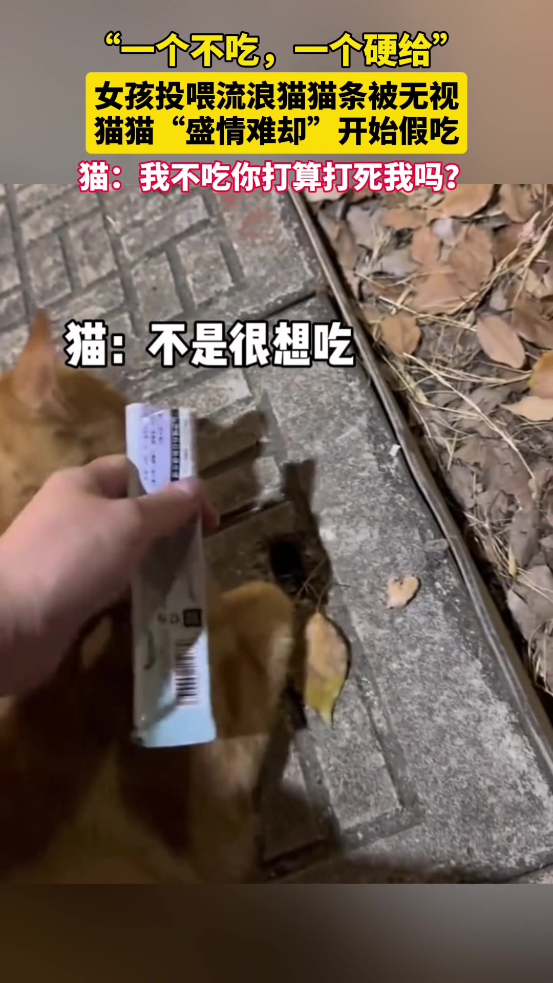 该配合你演出的我演视而不见!