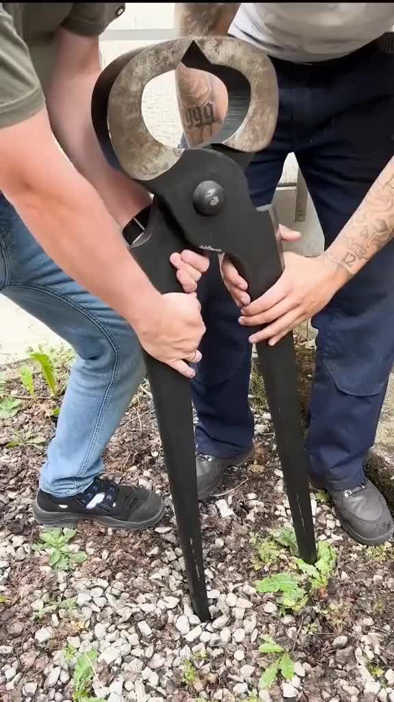 铁钉:我寻思我没犯天条吧