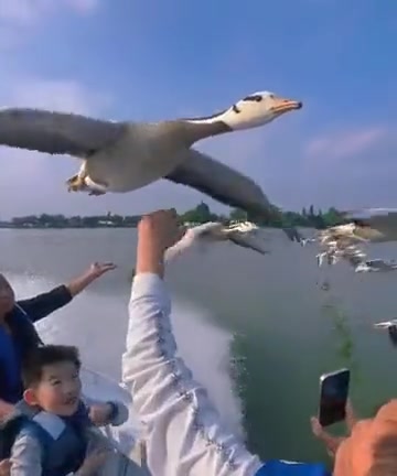可给你摸爽了,这不给喂点零食啊