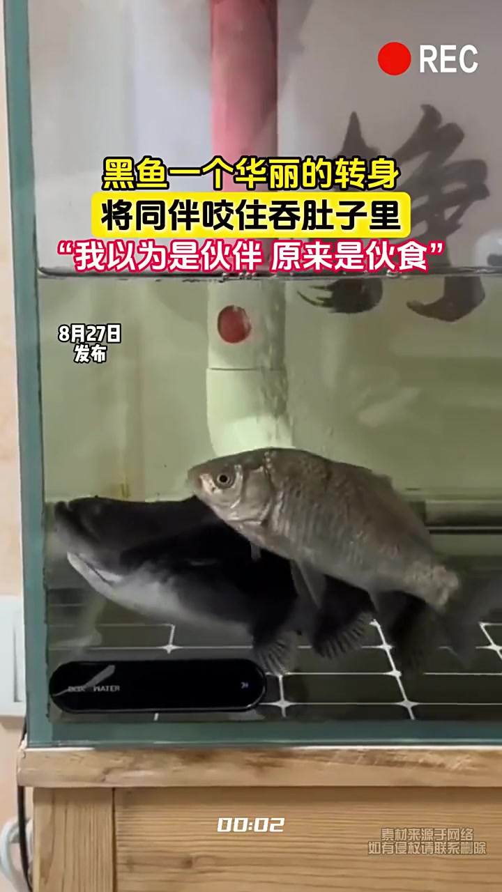以为是伙伴,原来是伙食