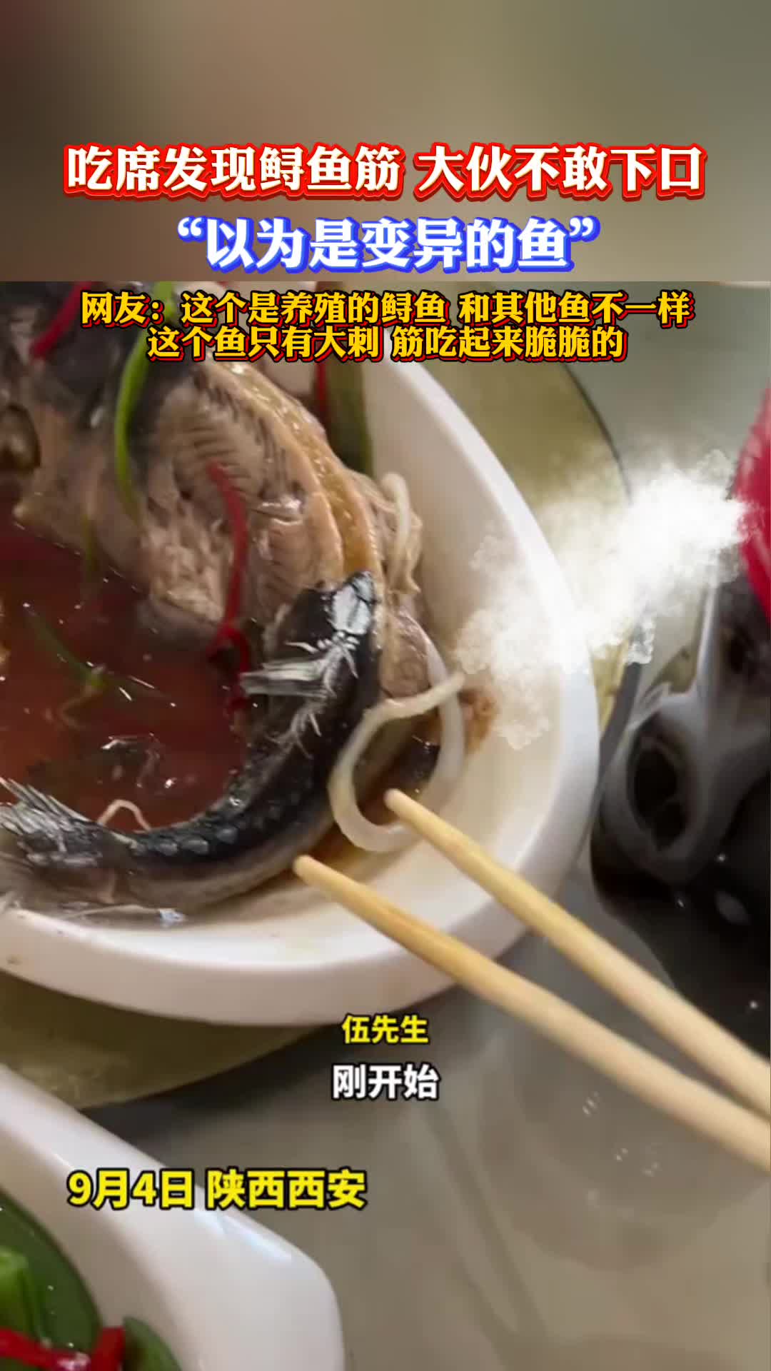 吃席发现鲟鱼筋,大伙不敢下口,“以为是变异的鱼”