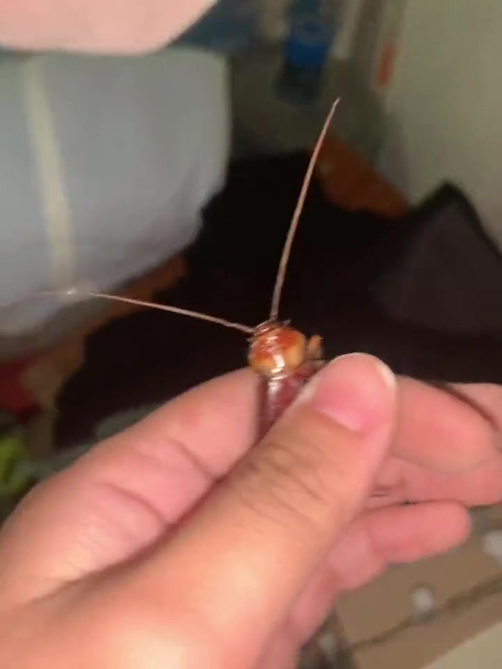 她就这么轻松的捏走了!
