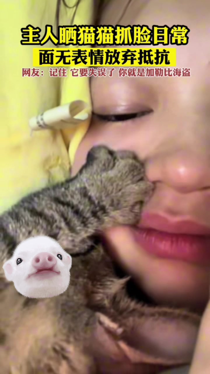 这猫是真能把控尺度啊