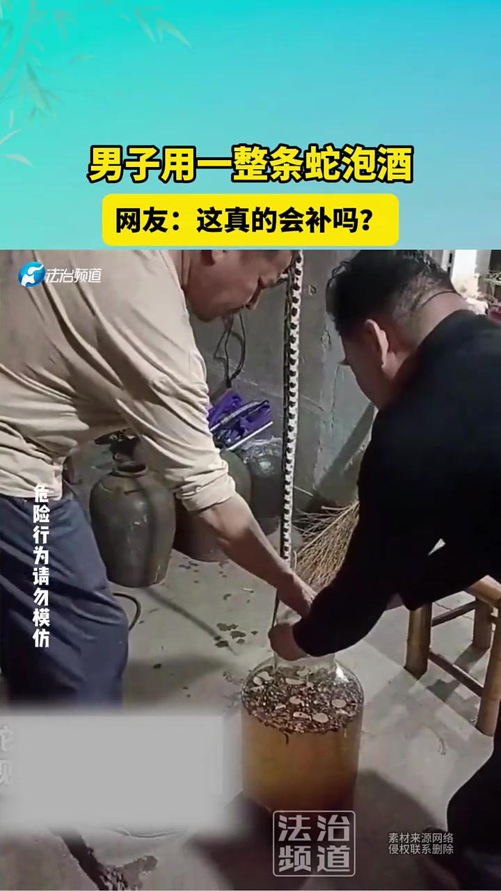 男子用一整条蛇泡酒,网友:这真的会补吗