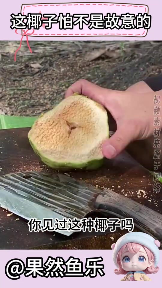 这真的是椰子吗这是来报仇的吧!