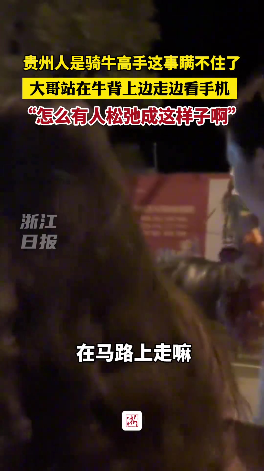 贵州人是骑牛高手这事瞒不住了!