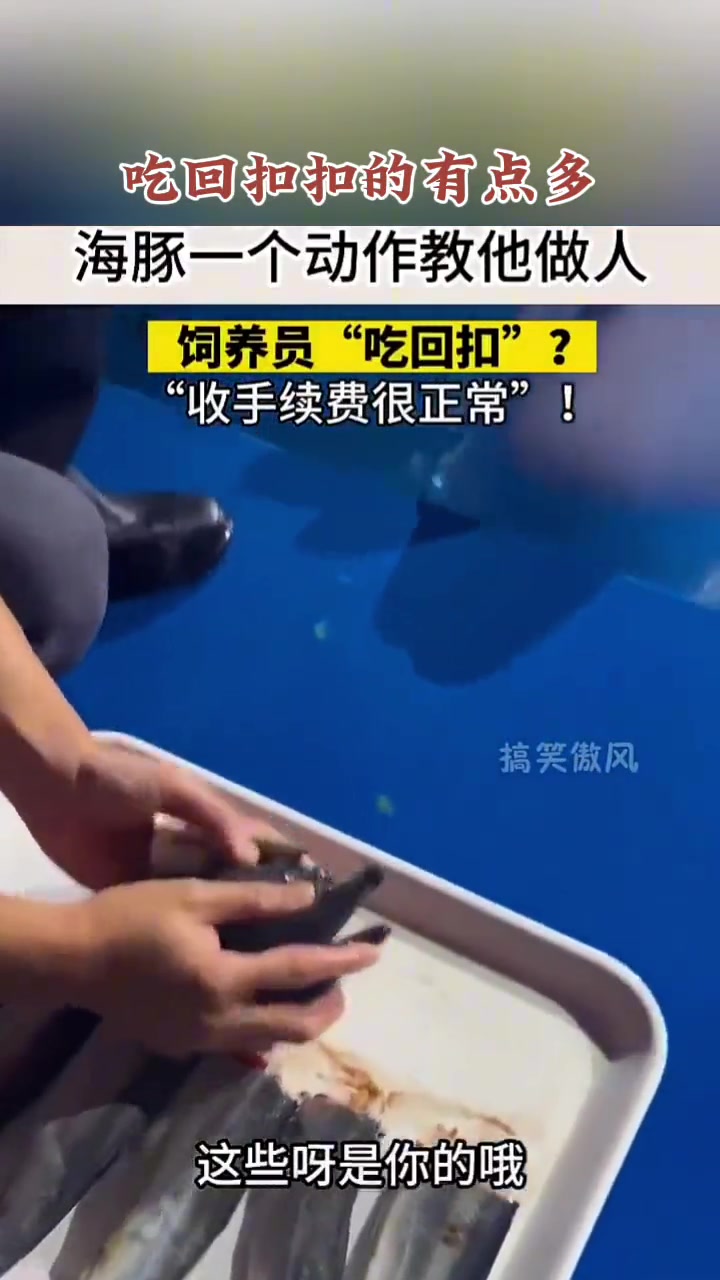 分赃不均,急眼了