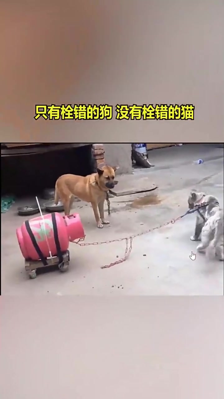呦,还是个粉色煤气罐