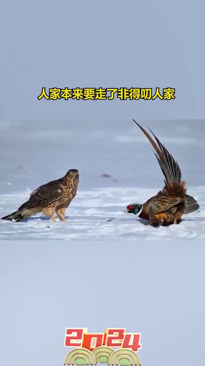给你脸了是吧!给你机会也不中用啊!