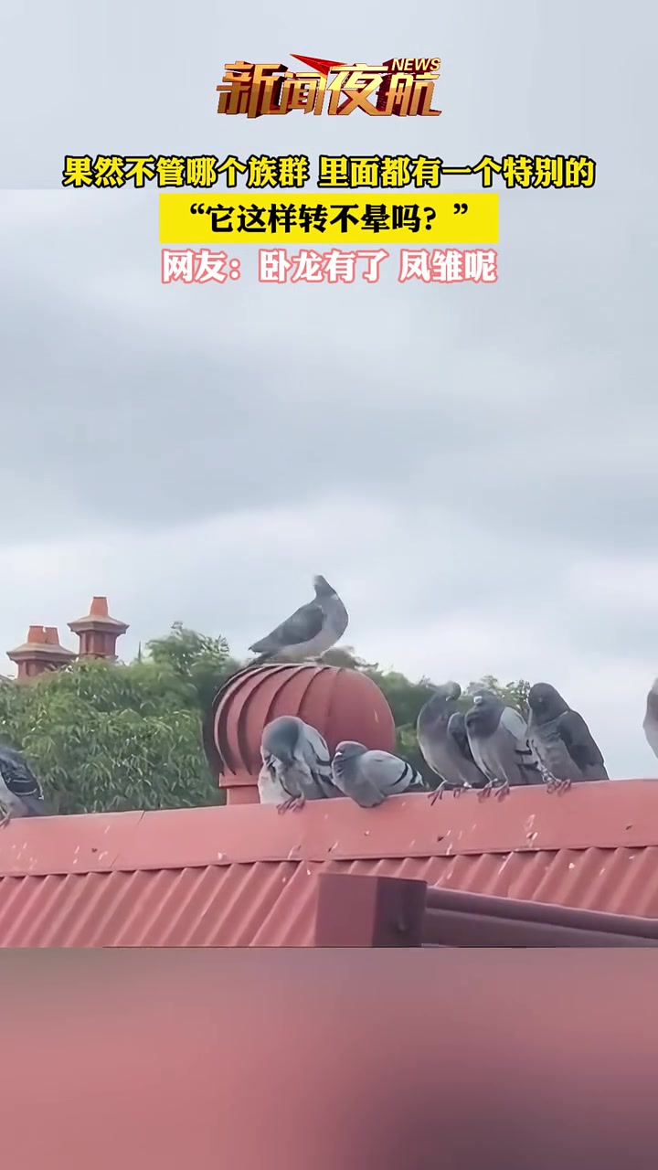 果然不管哪个族群,里面都有一个特别的