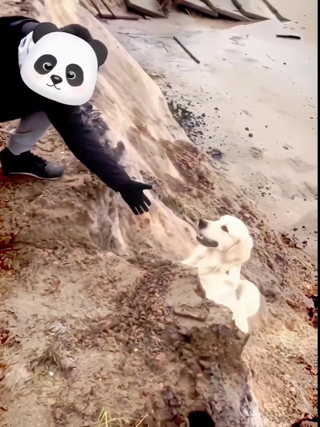 求救是你的谎言!