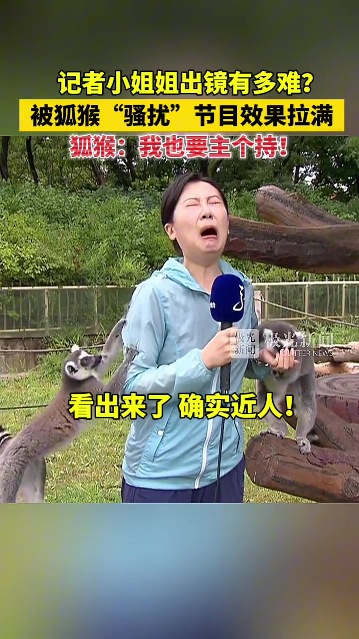 狐猴:我也要主个持!!!