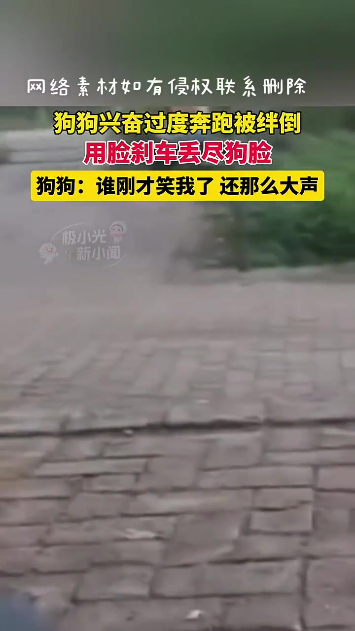 这一下叫什么来的!