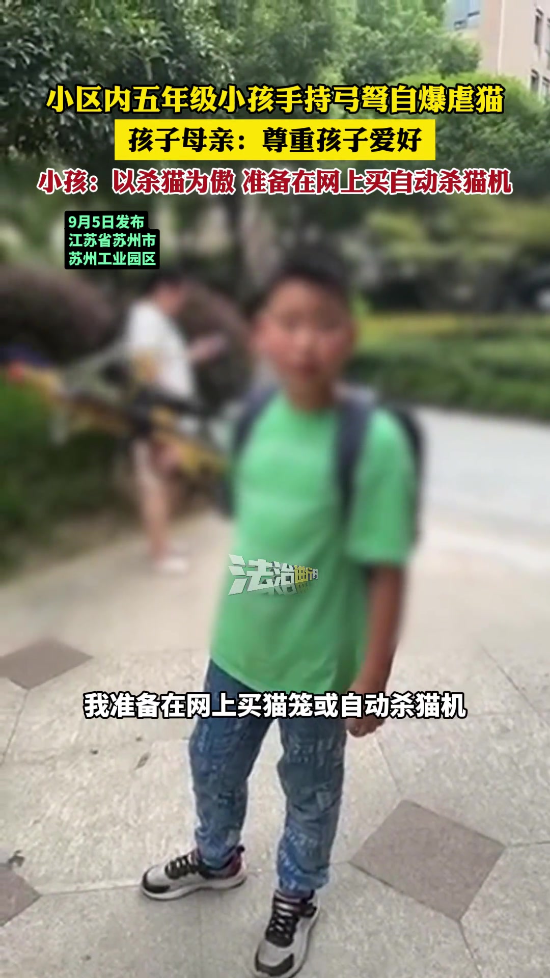 小孩:以杀猫为傲,孩子母亲:尊重孩子爱好