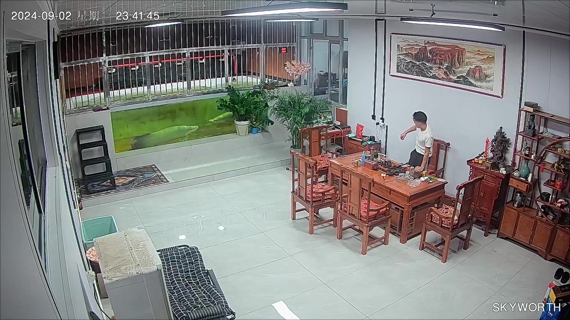 这一扇应该可以把人拍晕吧!