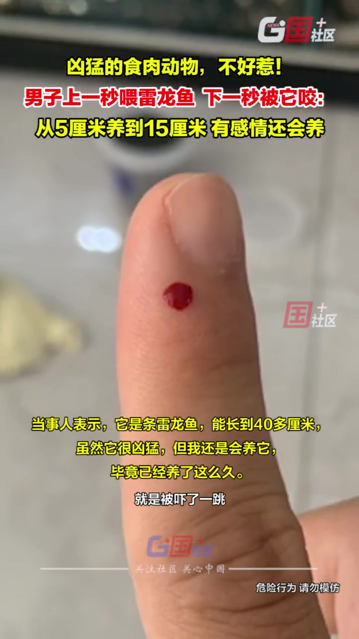 养熟和煮熟,它毅然决然的选择了后者!