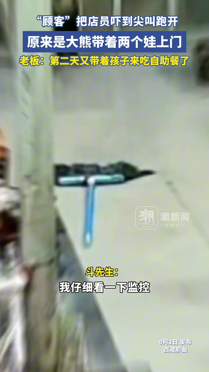尖叫逃离!熊冲进店里就先不说了,怎么还拖家带口的呢