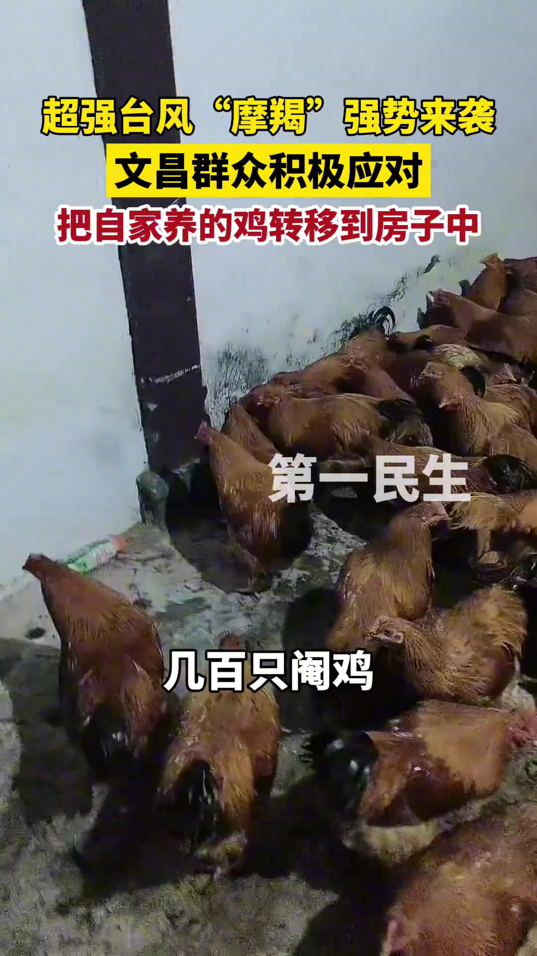 超强台风“摩羯”即将登陆,海南文昌群众积极应对!