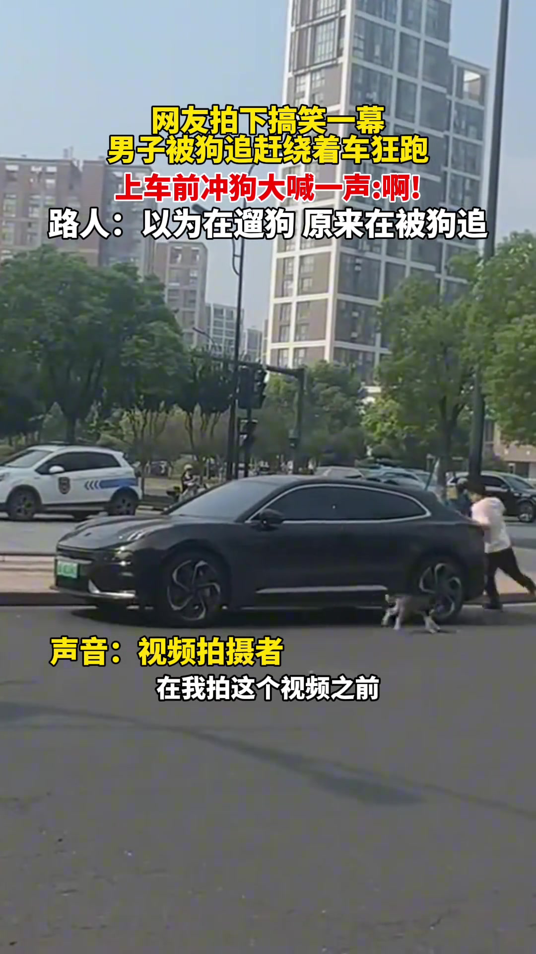 以为在遛狗原来在被狗追