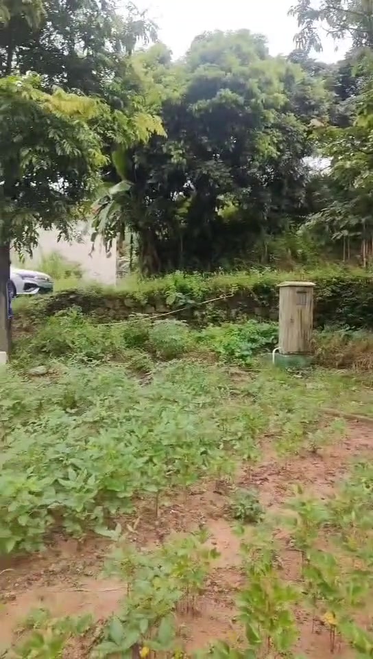 来时好好的,回不去了叫天天不应叫地地不灵了