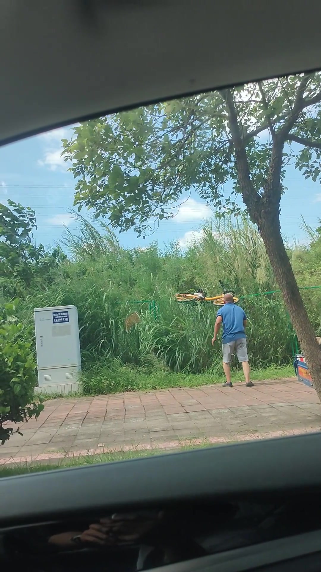 大哥你在干啥呢