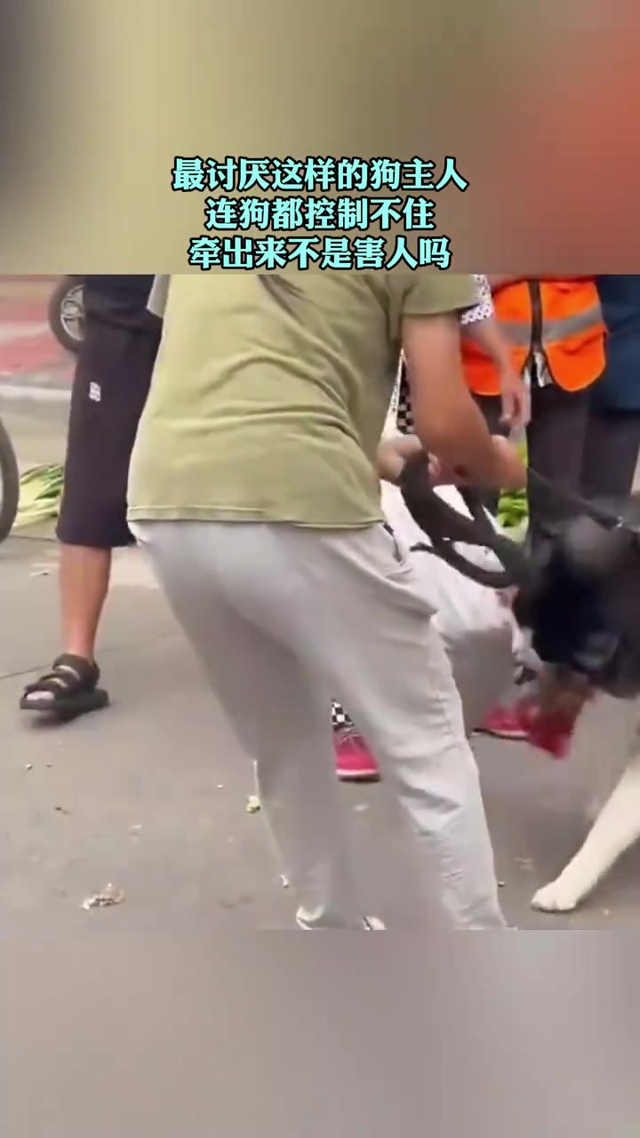 最讨厌这样的狗主人,连自己的狗都控制不住!!