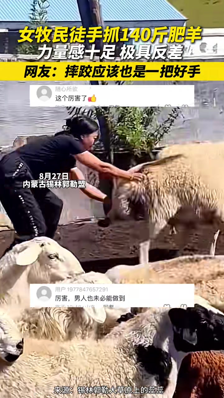 内蒙女汉子单杀140斤肥羊珍贵视频!!!