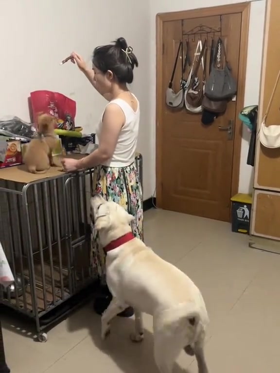 在领导看不见的时候,再努力也没有用