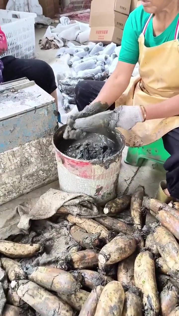 有吧友知道为什么打包藕要糊上一层泥吗