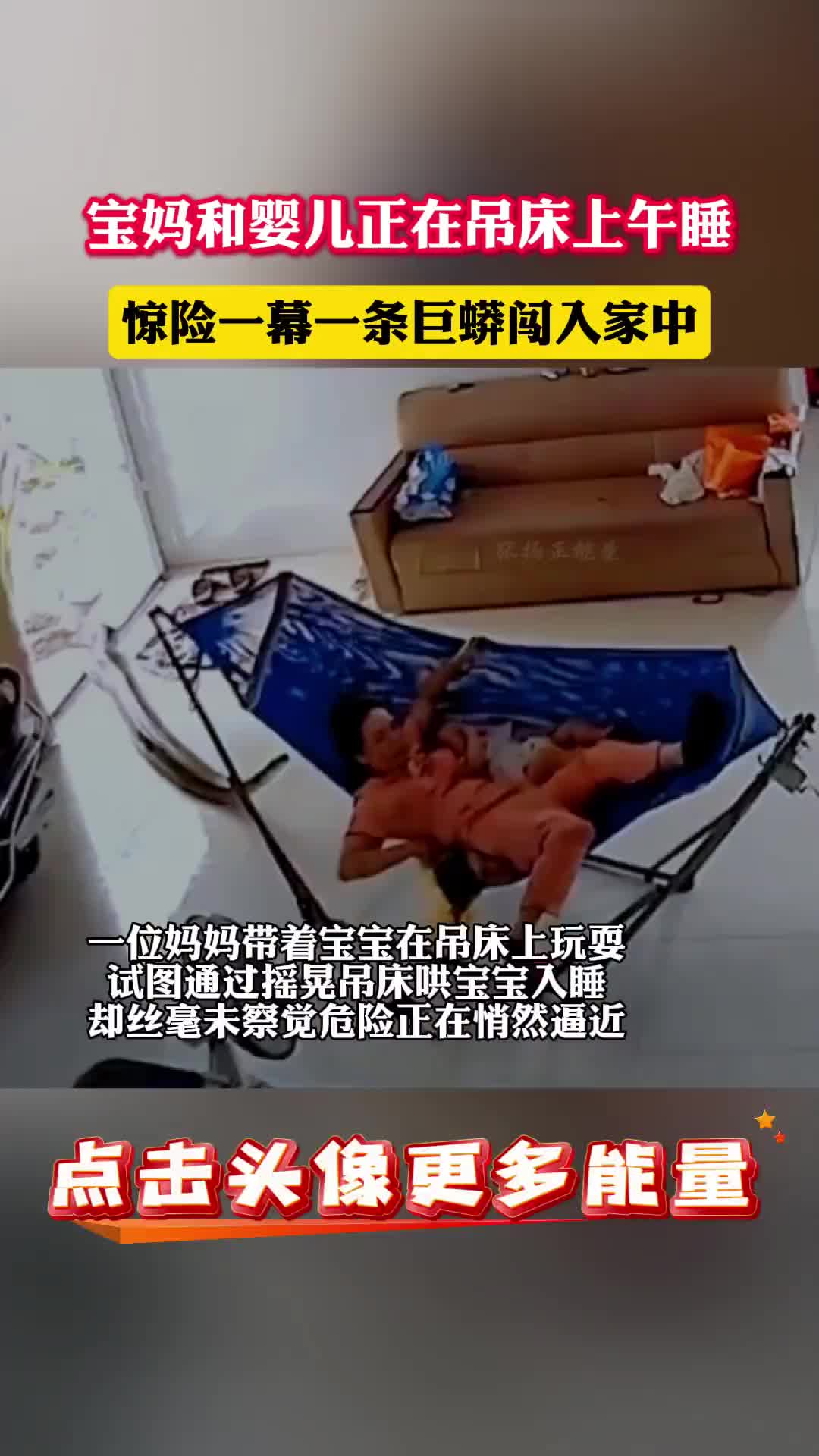 惊险一幕,一条巨蟒闯入家中宝妈太冷静了,是我直接跳起来