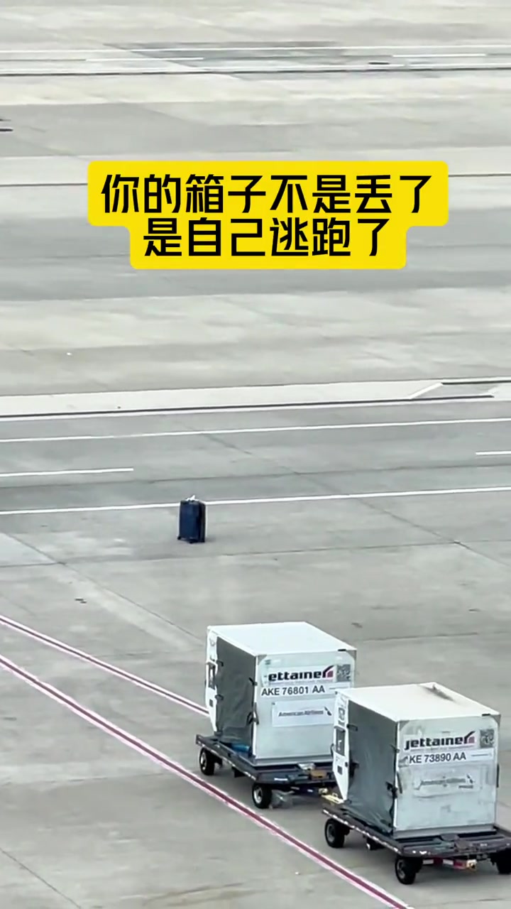 买箱子就不能买腿脚好的,不是丢了,是自己跑的