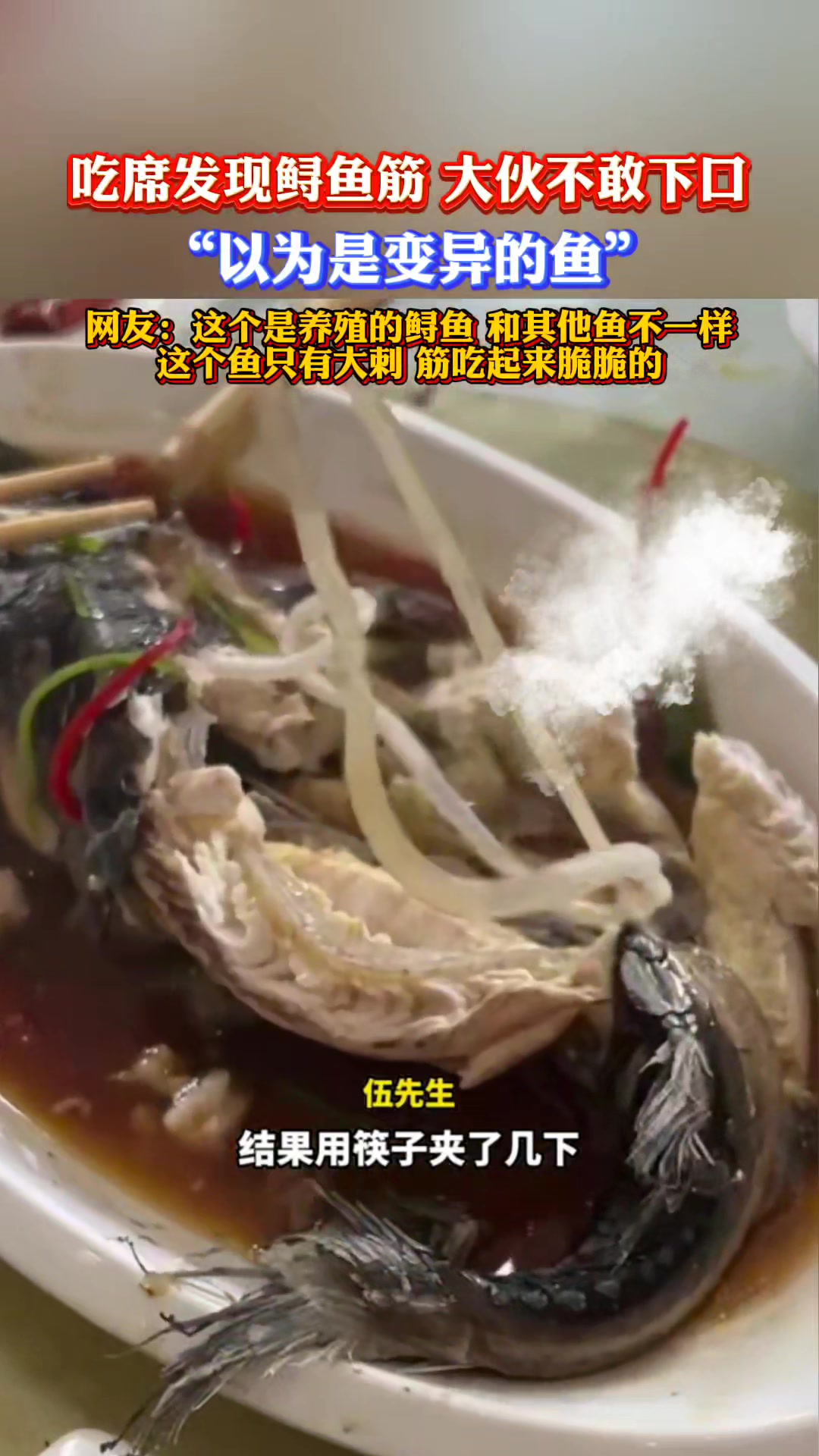 吃席发现鲟鱼筋,大伙不敢下口,“以为是变异的鱼”