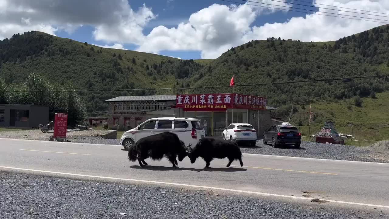 你们打架就打架,我的车怎么赔啊