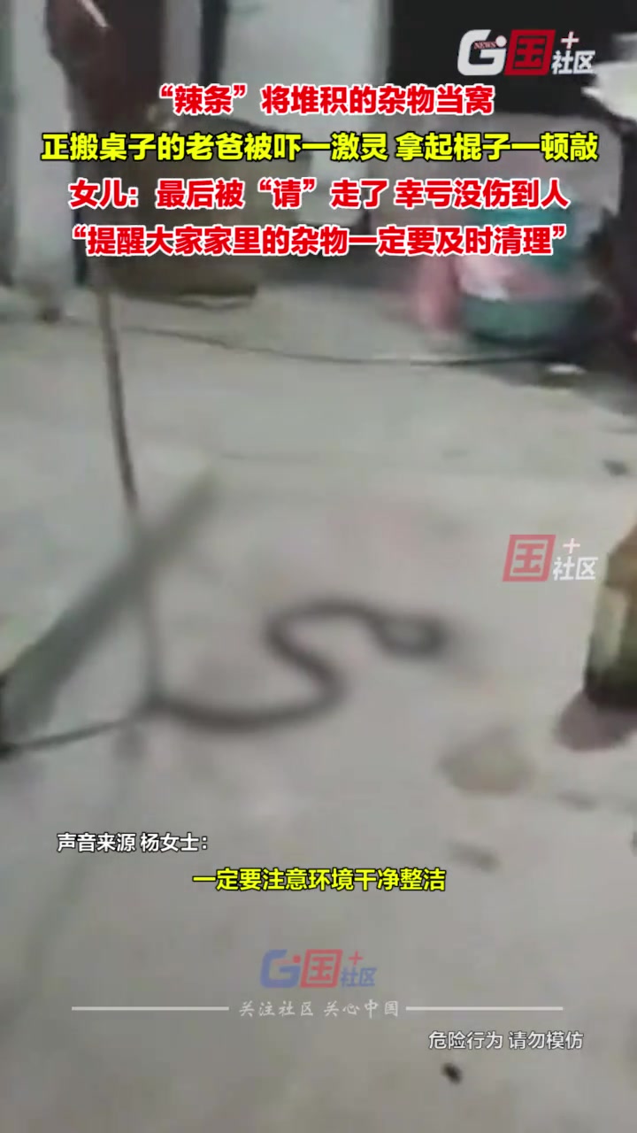 “辣条”将堆积的杂物当窝,正搬桌子的男子被吓一跳!