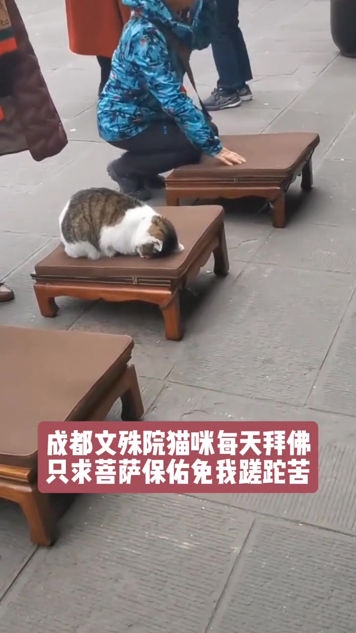 别人磕一头就走,它一磕就是好久!