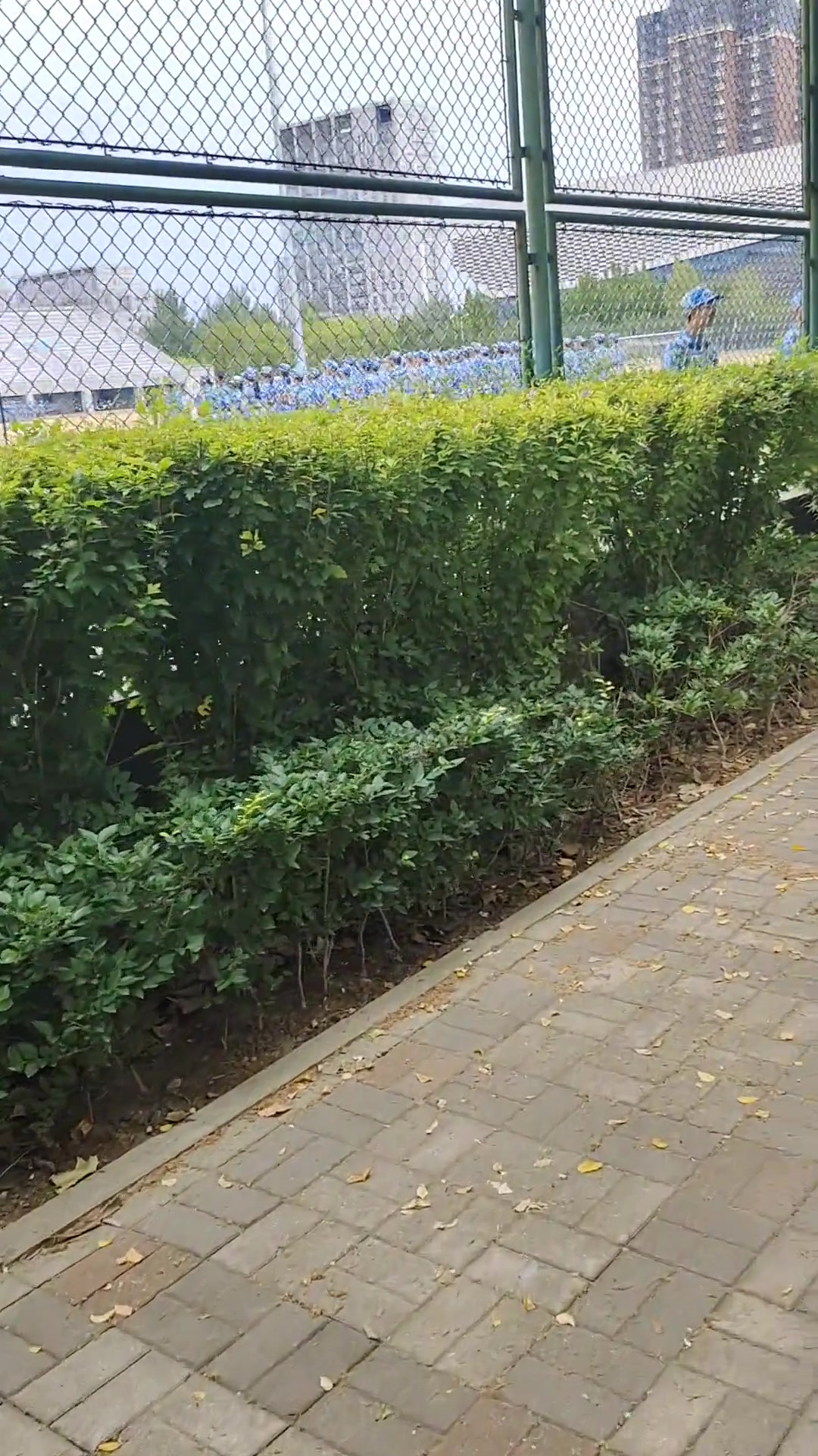 上课路上遇到了两个无情的报告机器!