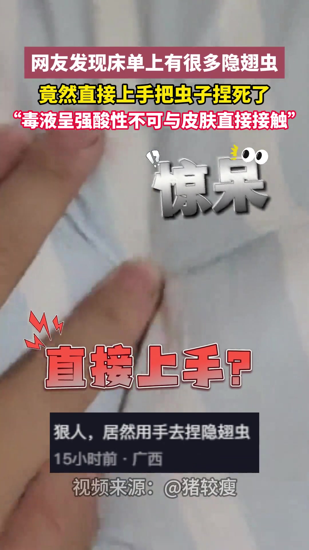 网友发现床单上有很多隐翅虫竟然直接上手把虫子捏死了