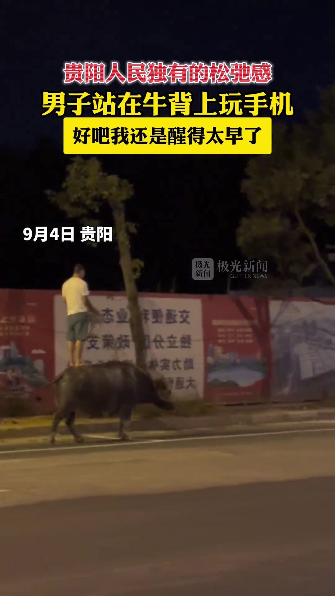 真有你的!竟然站在牛背上玩手机