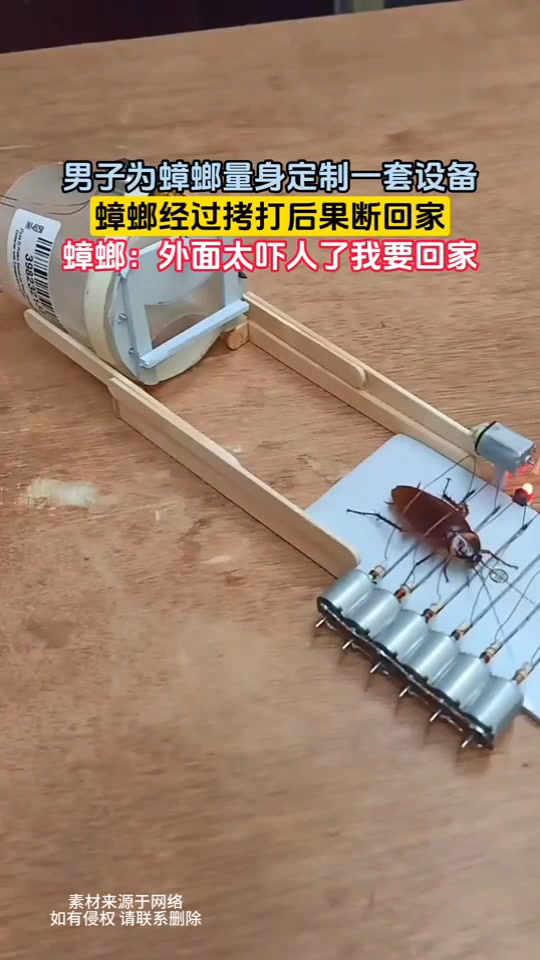 男子为蟑螂量身定制一套设备,蟑螂经过拷打后果断回家!