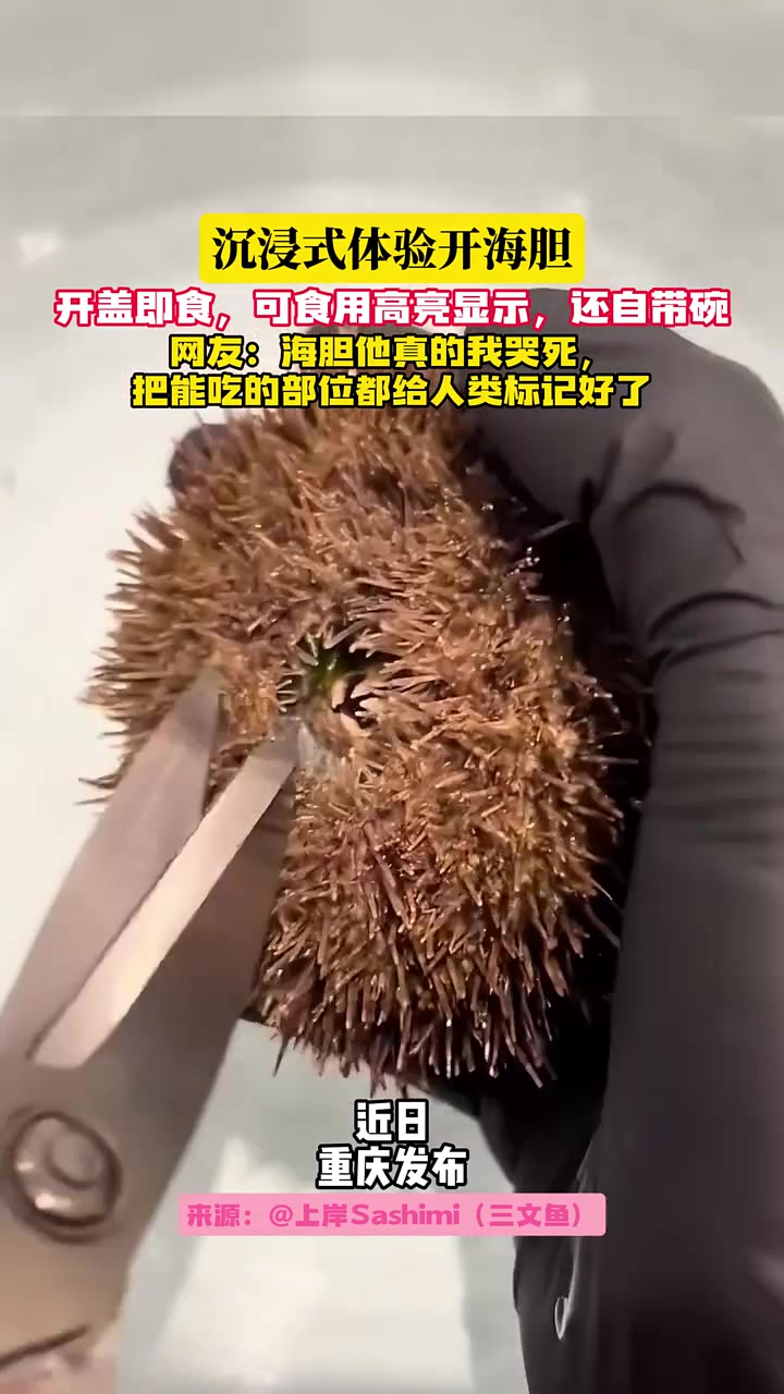 海胆他真的我哭死,把能吃的部位都给人类标记好了!