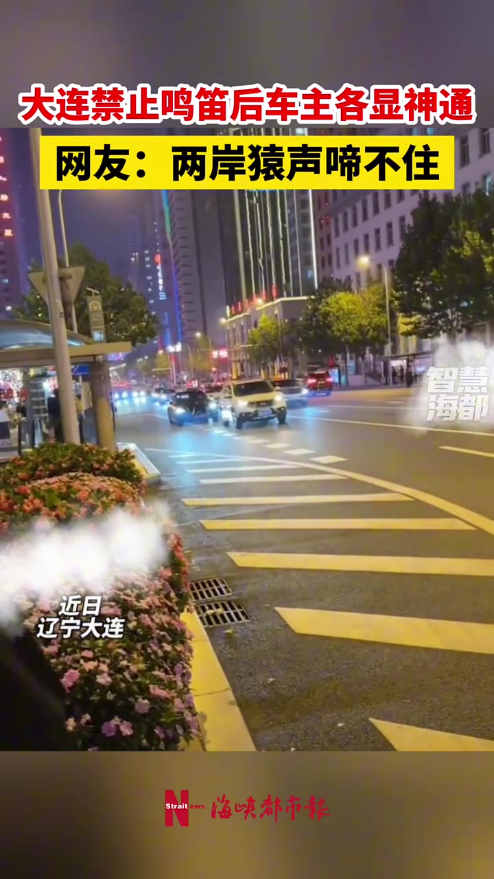 大连禁止鸣笛后车主各显神通,网友:两岸猿声啼不住!