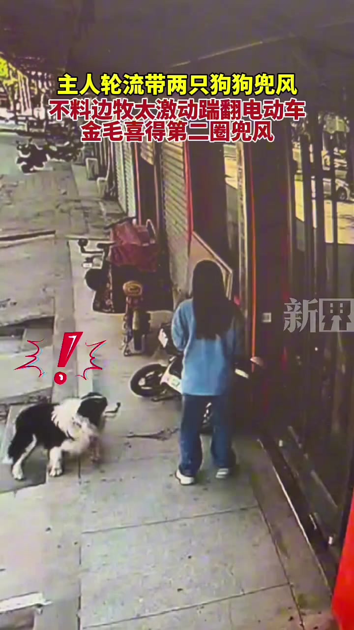 狗确实就得这么训!