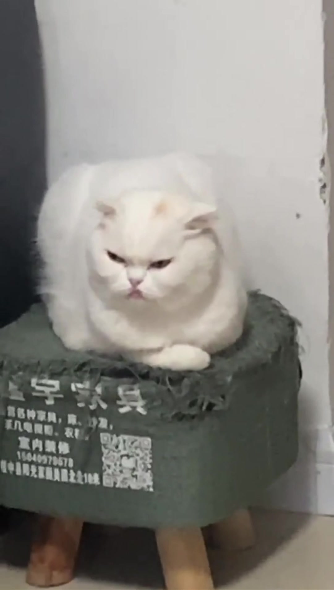 怎么我长得委屈是我的错喽