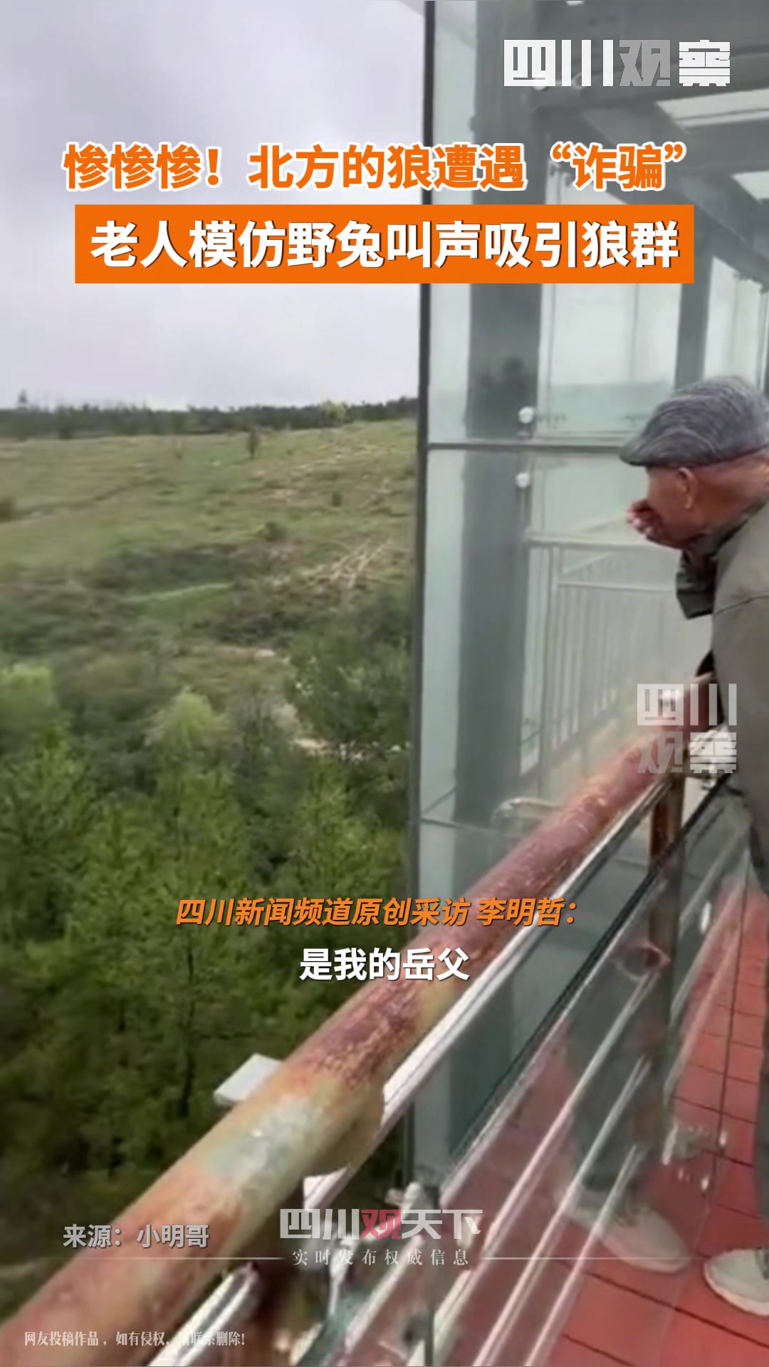 老人学兔子叫引来狼群!狼:反诈APP在哪下