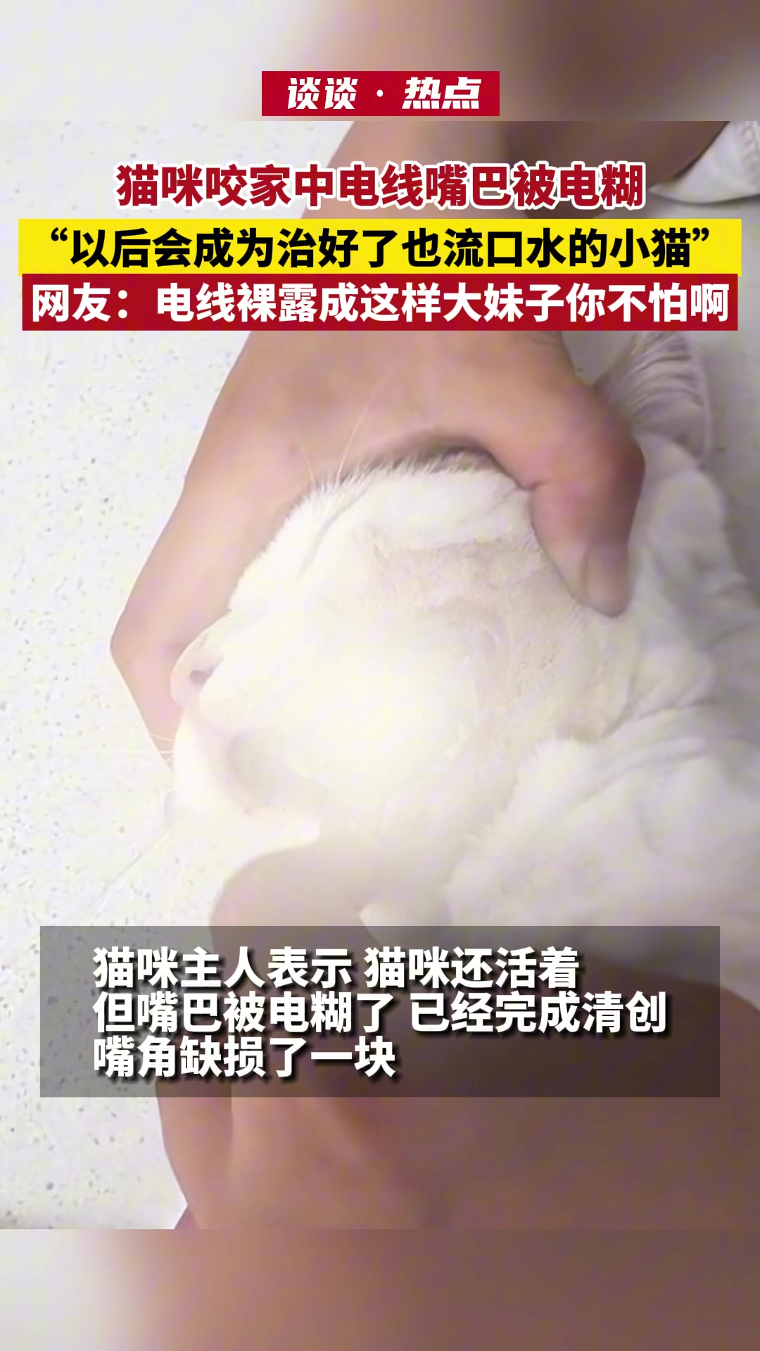 猫咪咬家中裸露电线嘴巴被电糊!