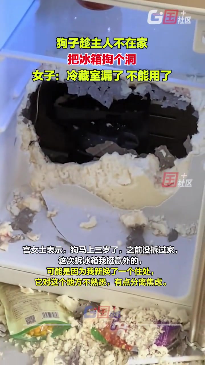 狗子趁主人不在,把冰箱掏了个洞
